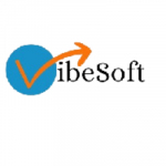 VibeSoft web development