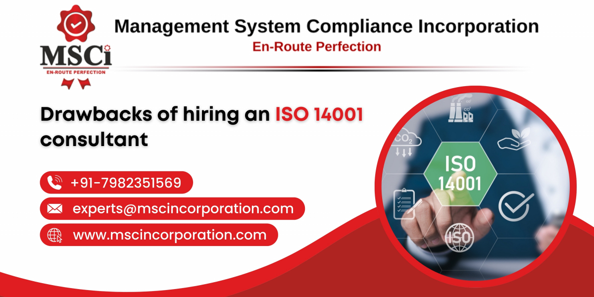 Drawbacks of hiring an ISO 14001 consultant