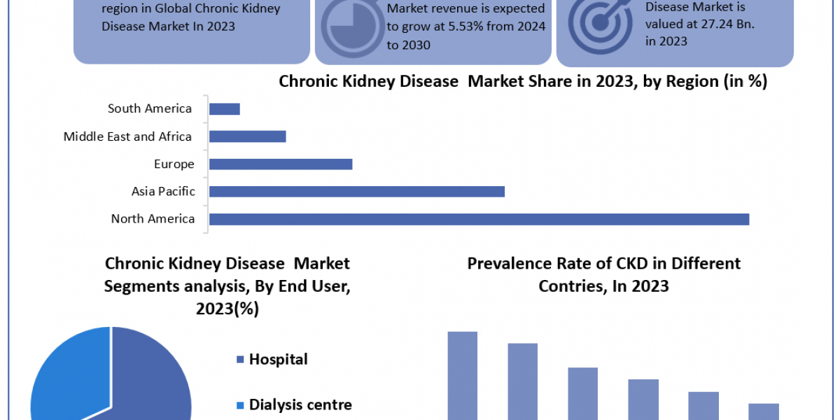 Chronic Kidney Disease Market 	Size, Share, Revenue Rendezvous: Worth Statistics Overview | 2024-2030