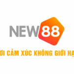 new888 online