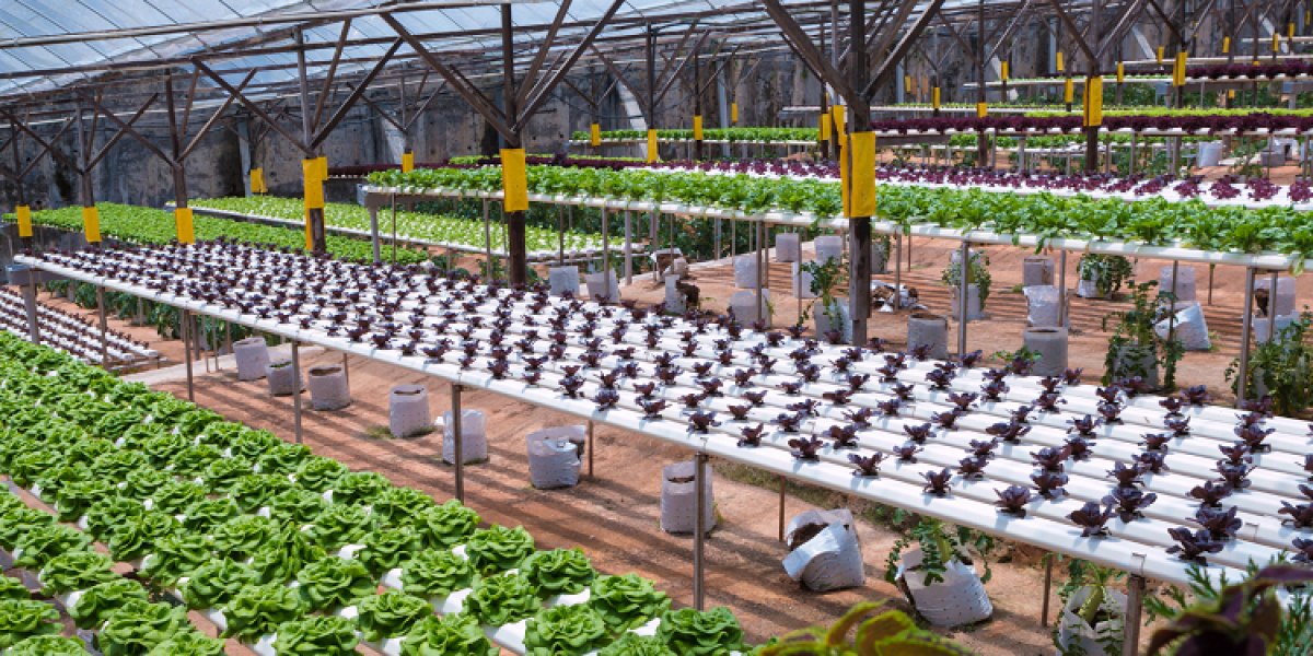 United States Agritecture Market: Growth Opportunities Amid Arable Land Scarcity