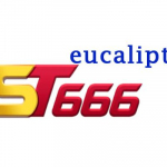 ST666 eucalipto