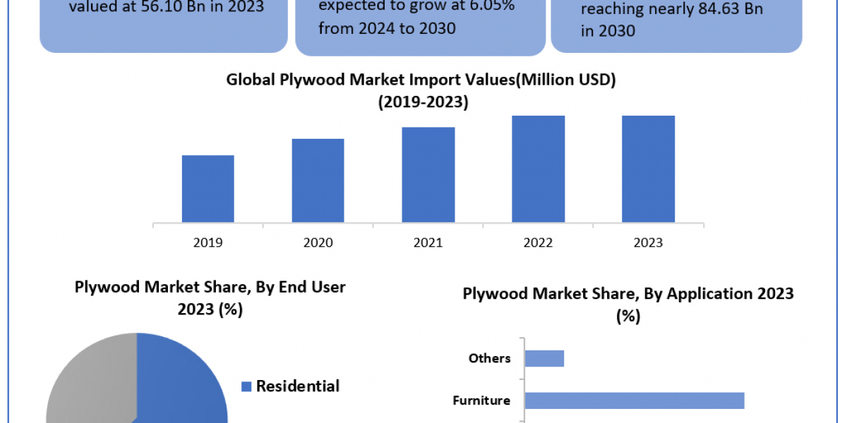 Plywood Market	Metrics Matrix: Segmentation, Outlook, and Overview in Market Dynamics | 2024-2030