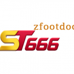 ST666 zfootdoc