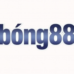 Bong88 P