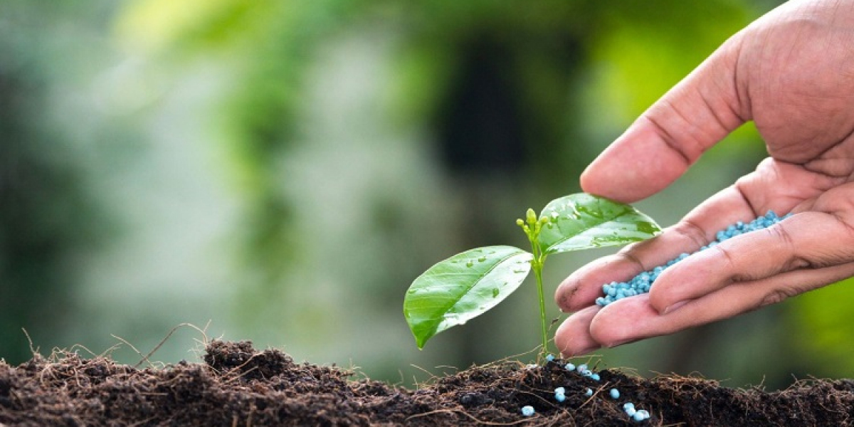 Europe Mycorrhizae Based Biofertilizers Market Set to Grow with Organic Demand