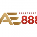 AE888 edcethiopia