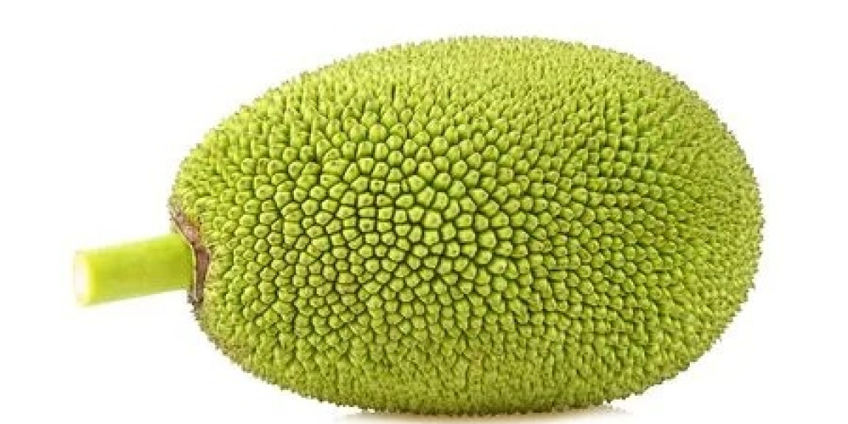 Jackfruit Processing Plant Report 2025: Project Details, Requirements and Costs Involved