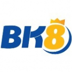 BK8 swancity