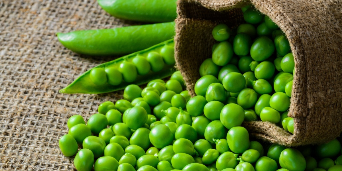 Roadmap for Setting up a Green Pea Processing Plant Project | Report by IMARC Group