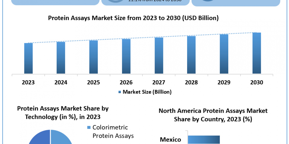 Protein Assays Market 	Data Decoded: Segmentation, Outlook, and Overview for Business Success | 2024-2030