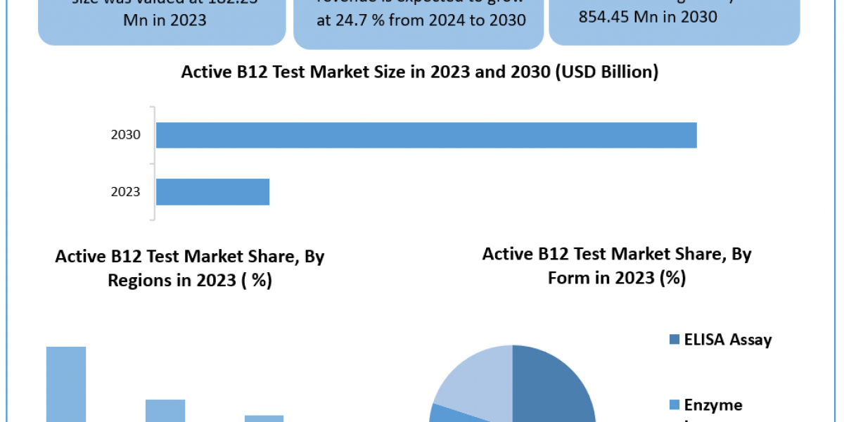 Active B12 Test Market	Metrics Matrix: Segmentation, Outlook, and Overview in Market Dynamics | 2024-2030