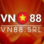 VN88 srl