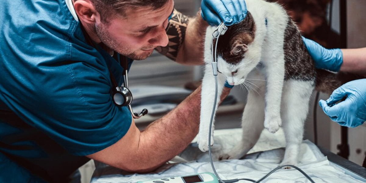 Australia’s Veterinary Healthcare Market: Growth Drivers and Future Outlook to 2033