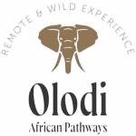 Olodi African Pathways