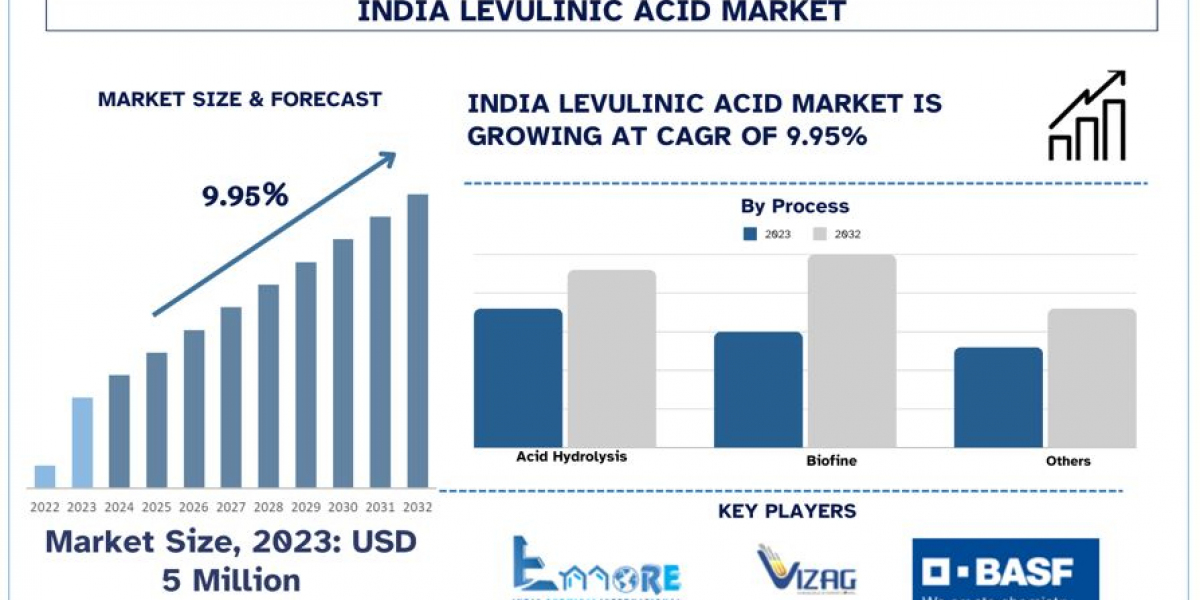 India Levulinic Acid Market Analysis by Size, Share, Growth, Trends and Forecast (2024–2032) | UnivDatos