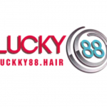 Lucky88 Hair