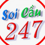 Soi cầu 247