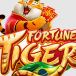 Fortune Tiger