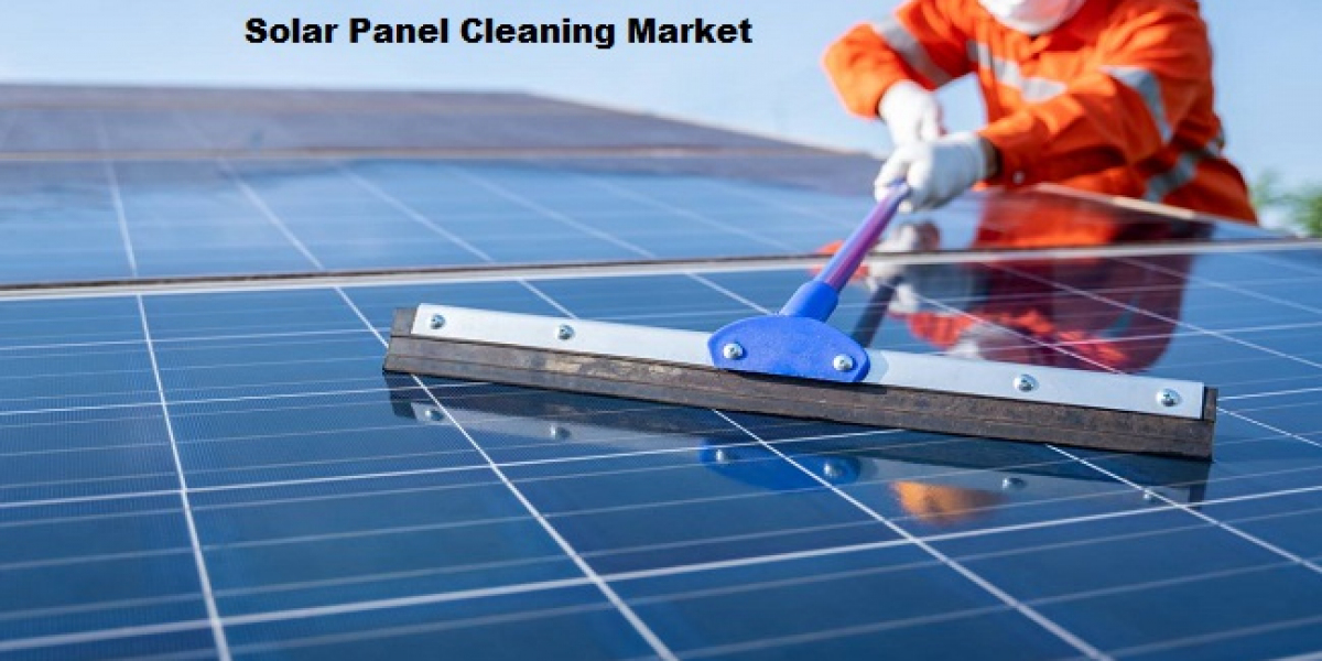 Solar Panel Cleaning Market Expanding with Rise in Water-Efficient Solutions