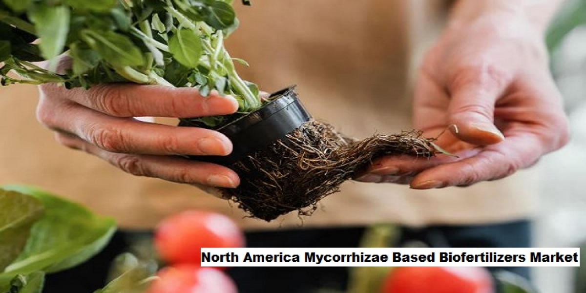 North America Mycorrhizae Based Biofertilizers Market Outlook: Organic Farming Leading