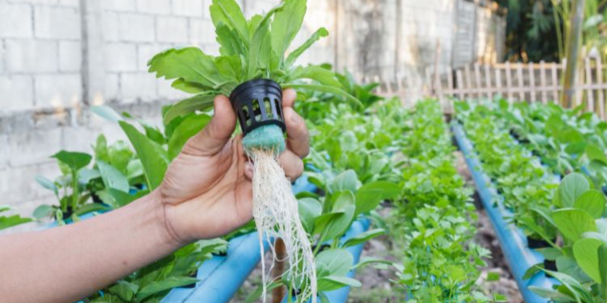 Hydroponics Market Size, Share, and Opportunities (2025-2033)