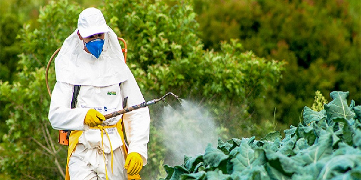 Indonesia Crop Protection Chemicals Market Rising Due to Pest Management Demand