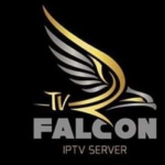 falcon live