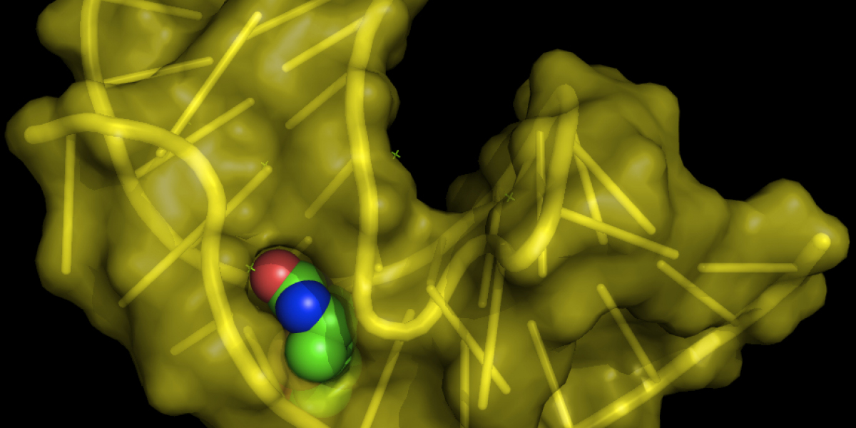 Aptamers Market Positioning and Future Development Forecast 2024 – 2032