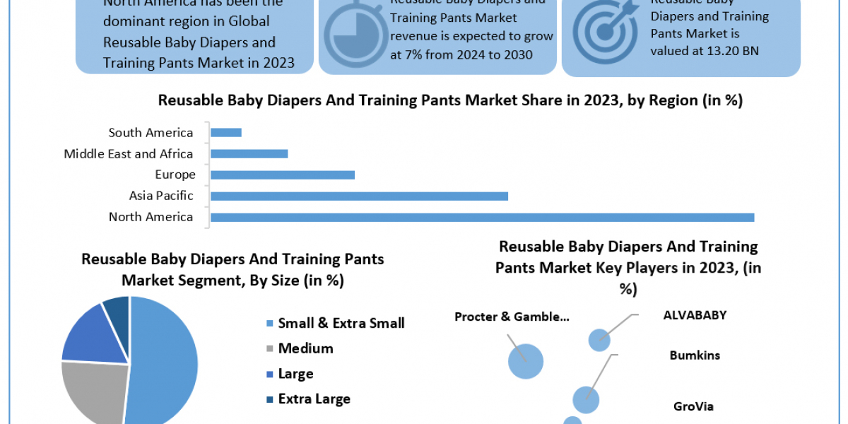 Reusable Baby Diapers and Training Pants Market Comprehensive Research Study, Competitive Landscape and Forecast to 2030