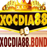 Xocdia88 bond