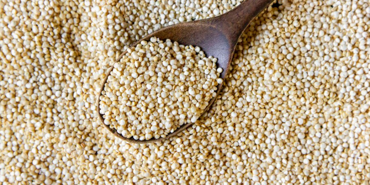 United States Quinoa Seeds Market: Size, Share, Trends, and Growth Forecast from 2023 to 2033