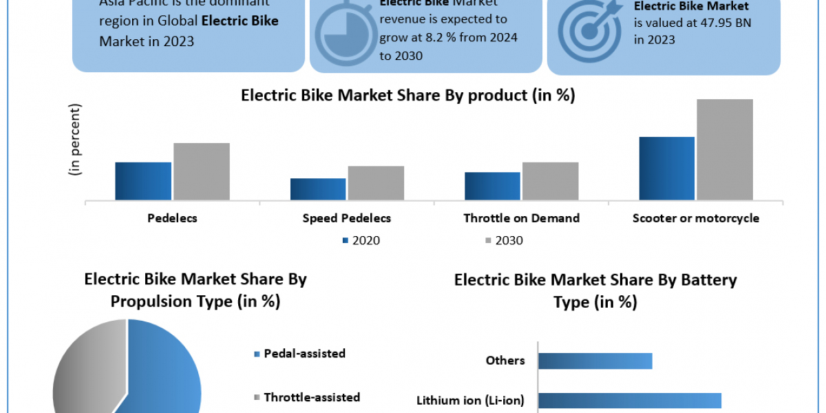 Electric Bike Market	Metrics Matrix: Segmentation, Outlook, and Overview in Market Dynamics | 2024-2030