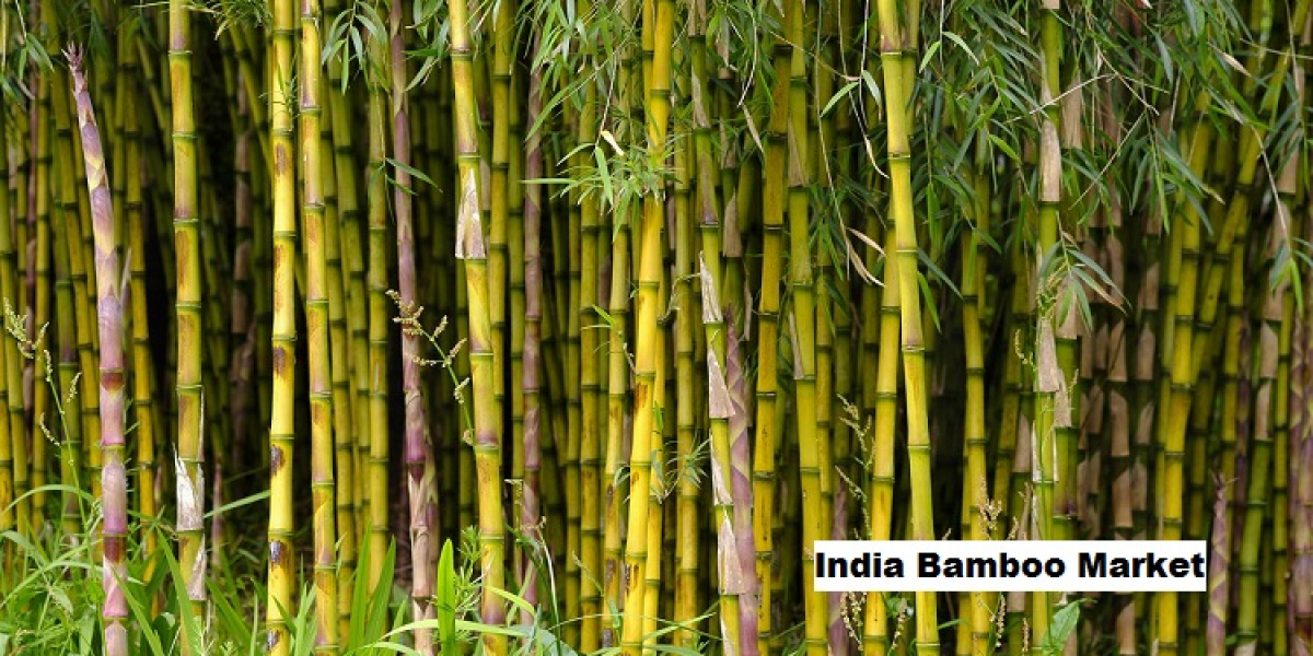 India Bamboo Market Set to Grow with Demand in Handicrafts and Building Sectors