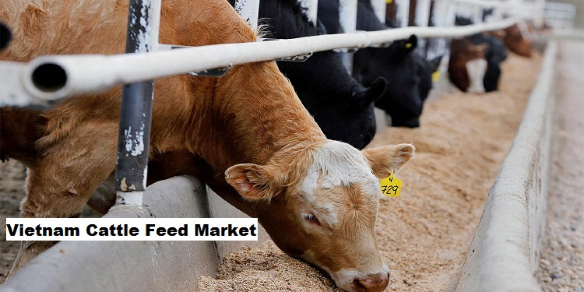 Vietnam Cattle Feed Market Expected to See Growth in Coming Years Due to Demand