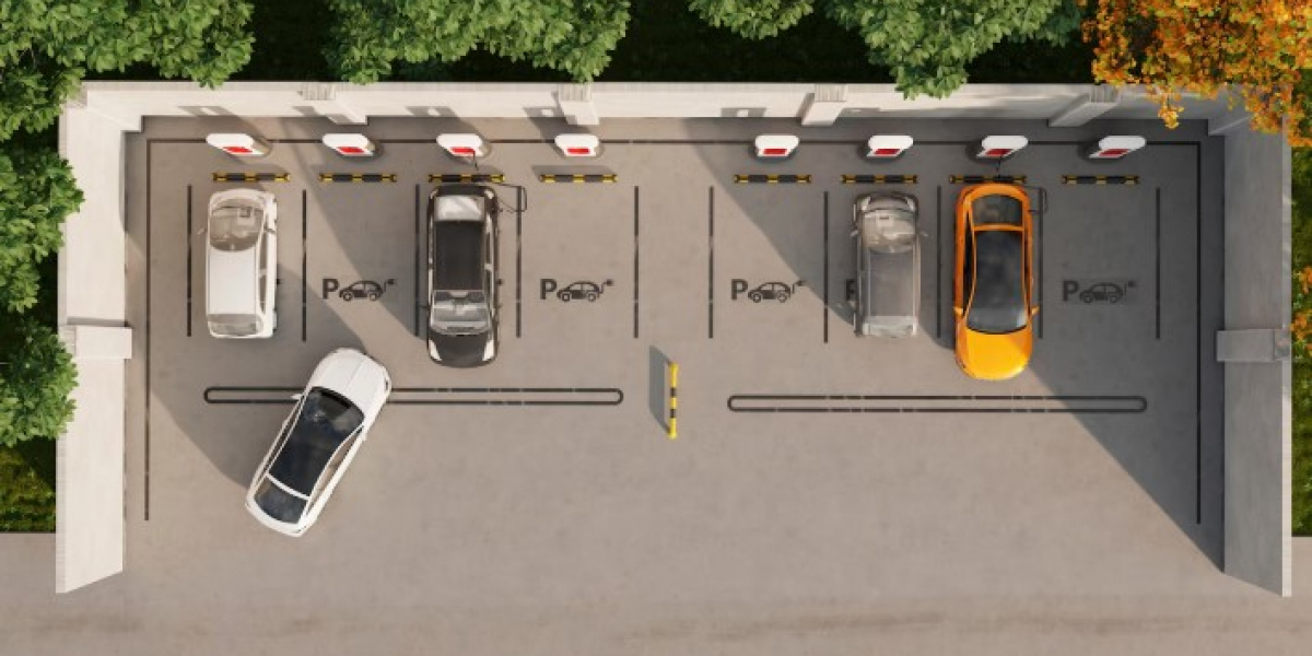 Revolutionizing Urban Parking with the LPR Parking Solution