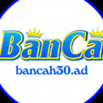 BANCA30