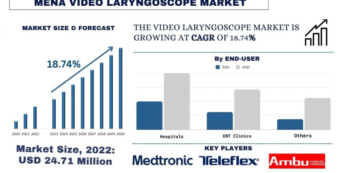 MENA Video Laryngoscope Market Analysis of Growth and Forecast to 2030 | UnivDatos