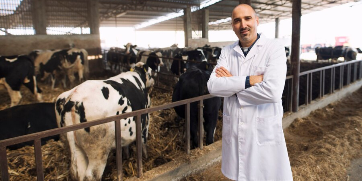 Exploring the Global Udder Health Market: Trends, Challenges, and Forecasts to 2033