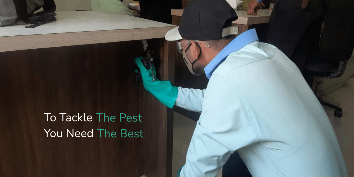 Your Comprehensive Guide to Professional Pest Control Services in Mumbai, Thane, and Mahim