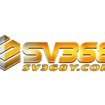 SV368y com