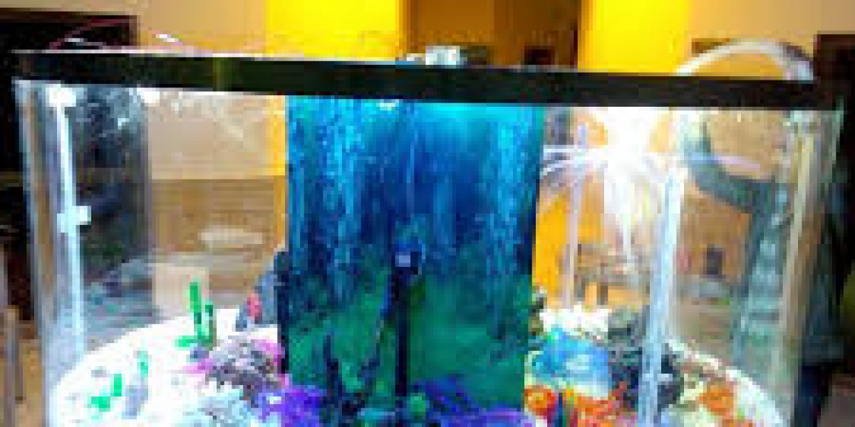 Top Aquariums for Sale: Enhance Your Home with a Stunning Aquatic Setup