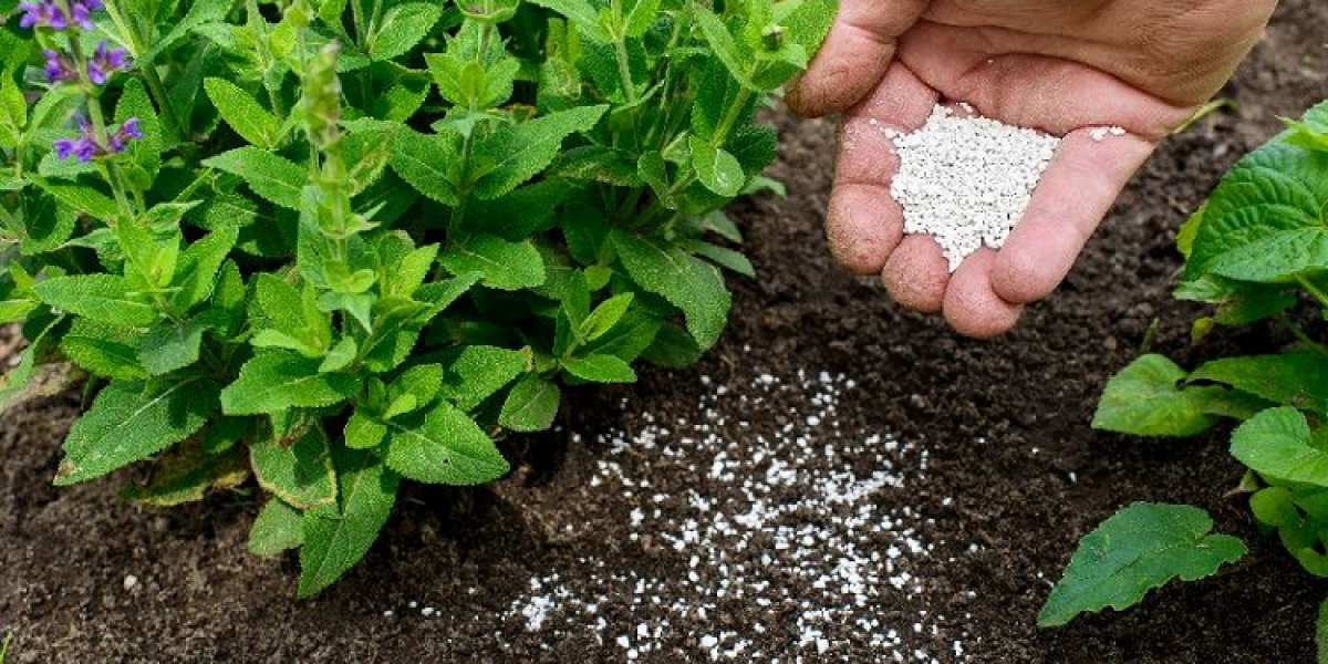 United States Mycorrhizae Based Biofertilizers Market: Growing Preference for Organic