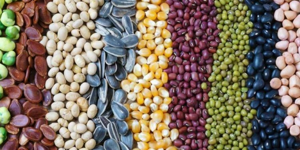 India Seeds Market Experiences Growth Driven by Hybrid Seed Awareness (2025-2029)