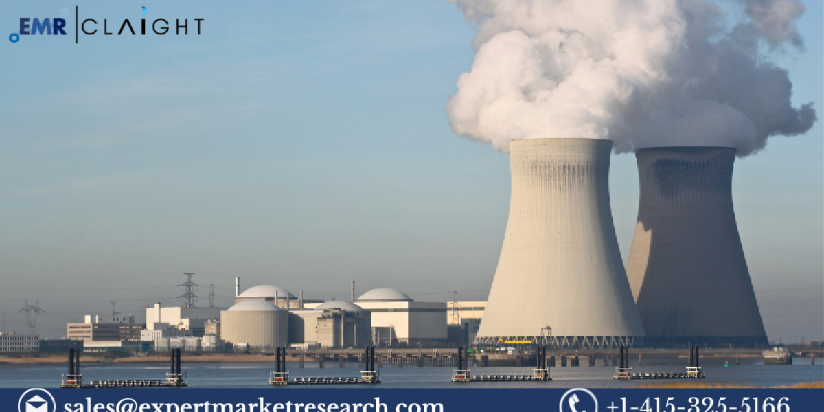 Nuclear Power Plant and Equipment Market Size, Share & Trends 2025-2033