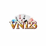 VN123 dev