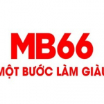 MB66 doctor