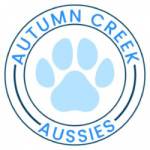 Autumncreek Aussies