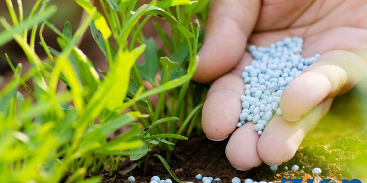 India Organic Fertilizer Market Size, Share, Analysis & Segmentation, Forecast 2024 - 2032