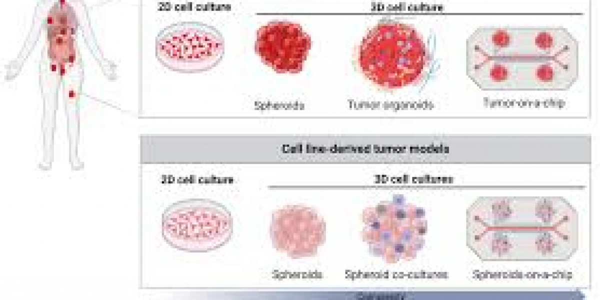 Tumor Models: Revolutionizing Cancer Research and Treatment Development